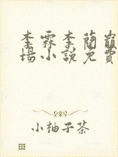 李霖李蔺巅峰官场小说免费阅读