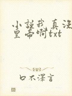 小说我真没想当皇帝啊txt