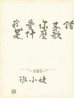 我爱你又错过你是什么歌