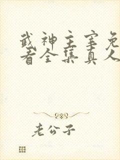 武神主宰免费观看全集真人版