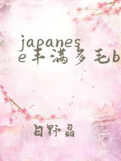 japanese丰满多毛bbw