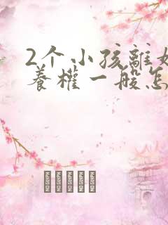 2个小孩离婚抚养权一般怎么判