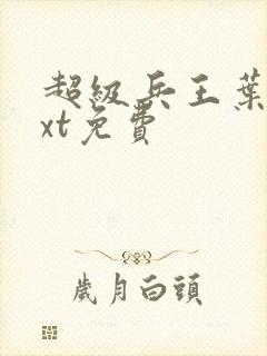 超级兵王叶谦txt免费