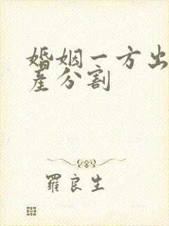 婚姻一方出轨财产分割