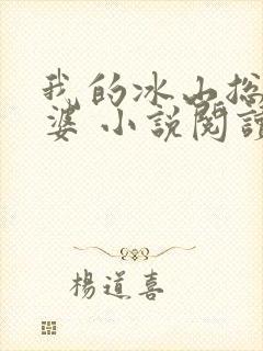 我的冰山总裁老婆 小说阅读