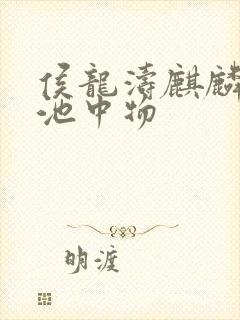 侯龙涛麒麟岂是池中物