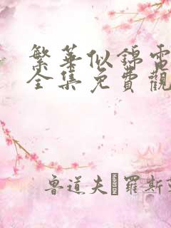 繁华似锦电视剧全集免费观看高清