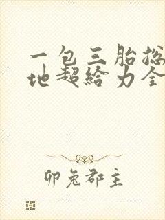 一包三胎总裁爹地超给力全部章节