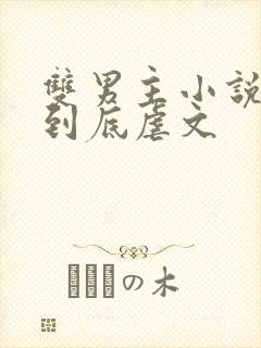 双男主小说一更到底虐文