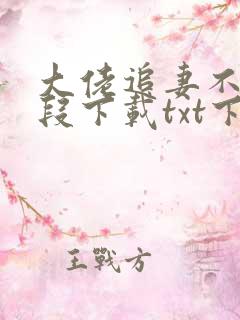 大佬追妻不择手段下载txt下