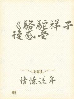 《骆驼祥子》读后感受