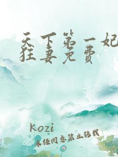 天下第一妃神医狂妻免费