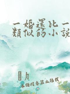 一婚还比一婚高类似的小说