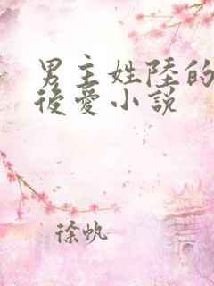 男主姓陆的先婚后爱小说