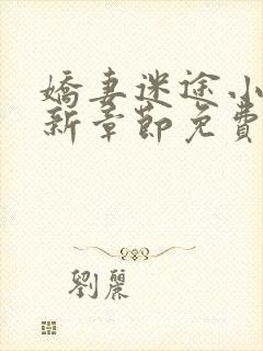 娇妻迷途小说最新章节免费阅读