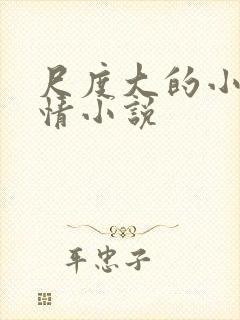 尺度大的小说言情小说