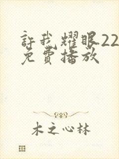 许我耀眼22集免费播放