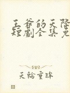 王爷的天降毒妃短剧全集免费