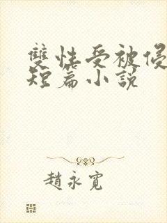 双性受被侵犯的短篇小说