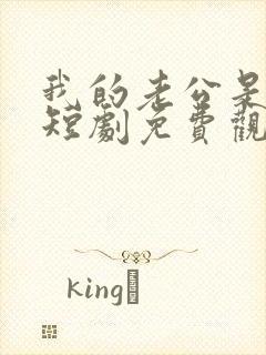 我的老公是总裁短剧免费观看全集