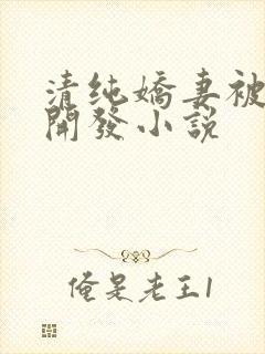 清纯娇妻被别人开发小说