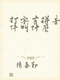 打字有拼音的软件叫什么