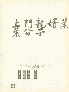 上门龙婿叶辰 叶公子