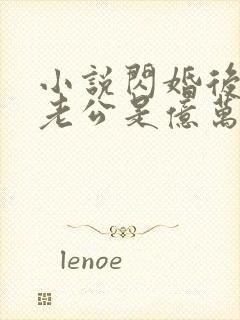 小说闪婚后发现老公是亿万富豪