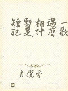 短暂相遇一生惦记是什么歌