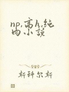 np,高h,纯肉小说
