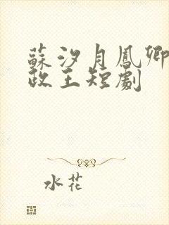 苏汐月凤卿绝摄政王短剧