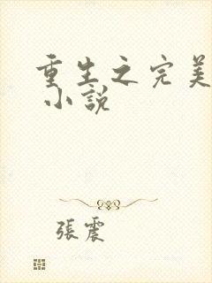 重生之完美时代 小说