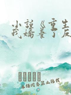 小说《重生后,我娇养了反派摄政王》