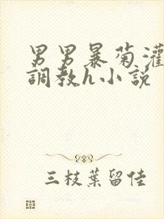 男男暴菊灌浣肠调教h小说