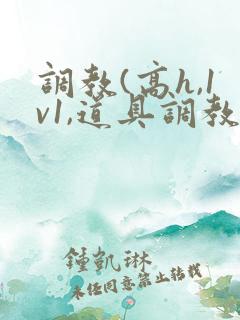 调教(高h,1v1,道具调教)