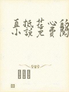 直抵花心的女人小说免费阅读