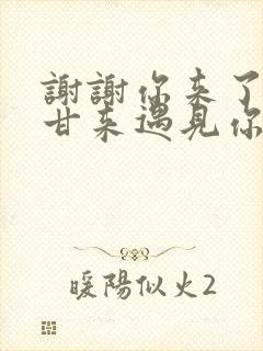 谢谢你来了苦尽甘来遇见你完整版