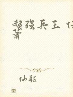 超强兵王 任风萧