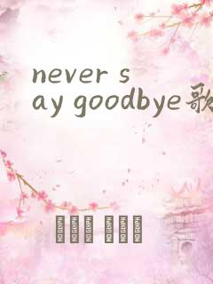 never say goodbye歌词翻译中文
