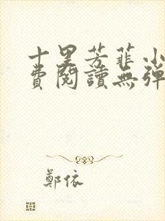 十里芳菲小说免费阅读无弹窗