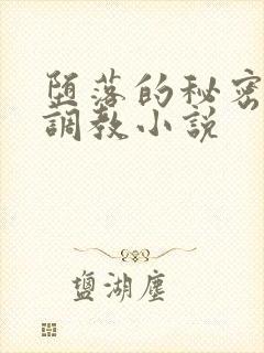 堕落的秘密老总调教小说