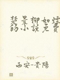 楚晨柳如烟主角的小说免费阅读