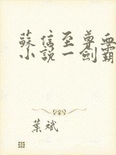 苏信至尊血脉的小说一剑霸天