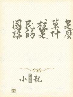 国民校草是女生讲的是什么