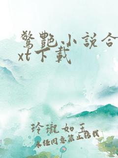 惊艳小说合集txt下载