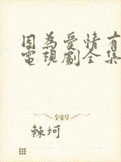 因为爱情有多美电视剧全集免费观看