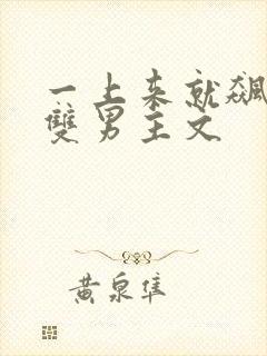 一上来就飙车的双男主文