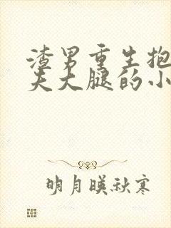 渣男重生抱紧前夫大腿的小说