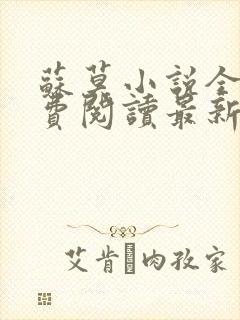 苏莫小说全文免费阅读最新章节