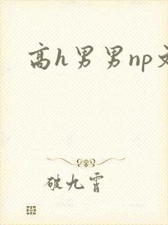 高h男男np文